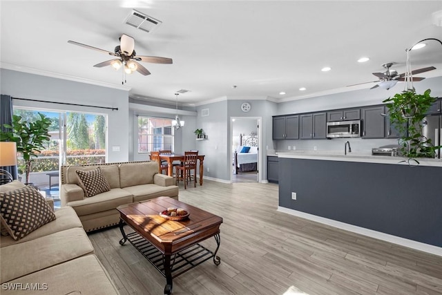 living room with ceiling fan with notable chandelier, light hardwood / wood-style flooring, and crown molding