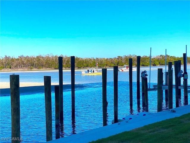 dock area featuring a water view