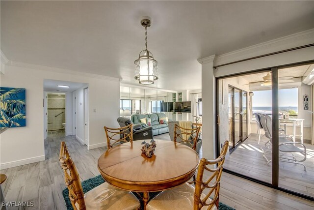 dining area with ceiling fan, light hardwood / wood-style floors, and ornamental molding