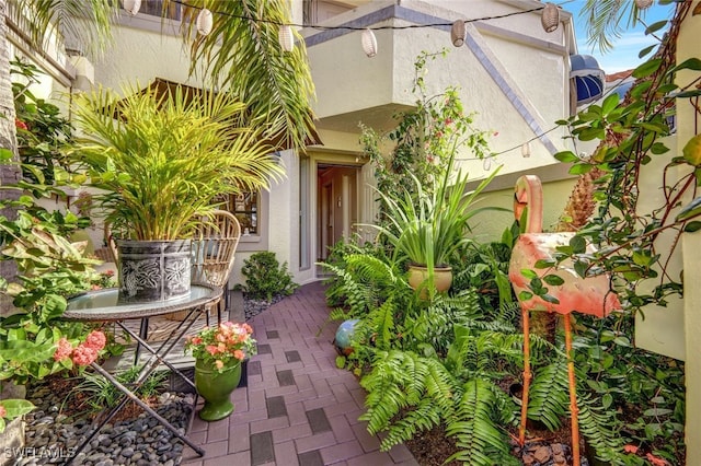 doorway to property featuring a patio area and stucco siding