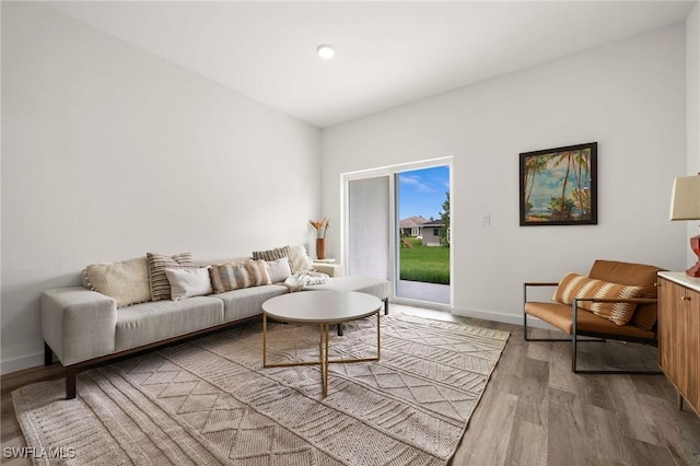 living room with wood-type flooring