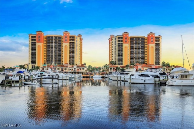 water view featuring a boat dock