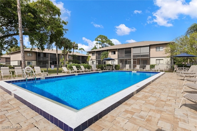 view of swimming pool featuring a patio area
