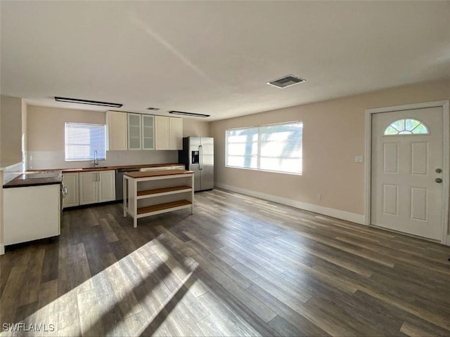 entrance foyer featuring dark wood-type flooring and sink