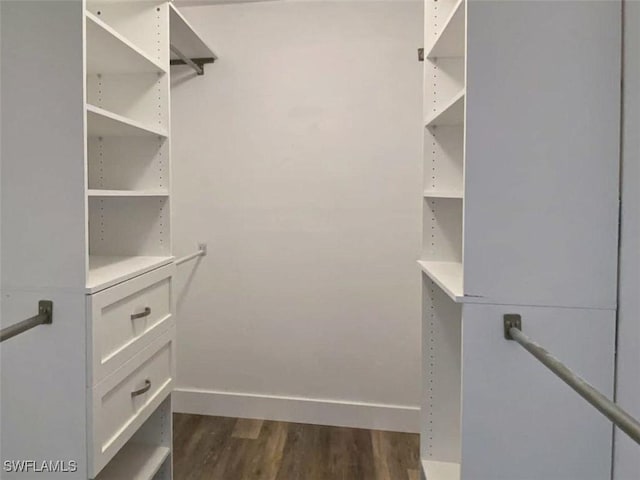 walk in closet featuring dark hardwood / wood-style floors