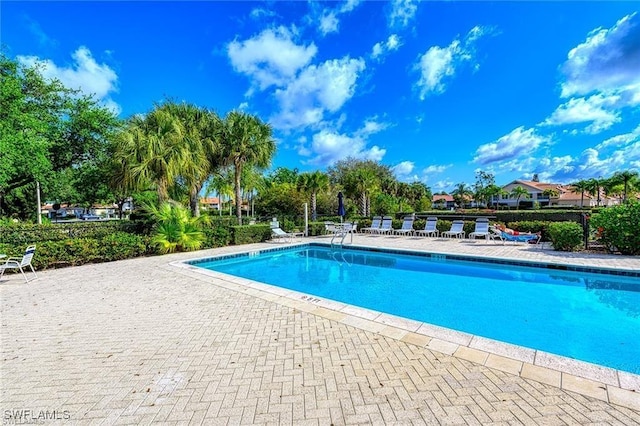 view of swimming pool with a patio