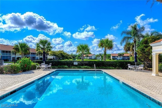 view of swimming pool featuring a patio area