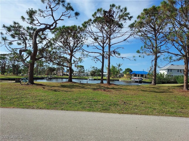 view of home's community featuring a water view and a yard