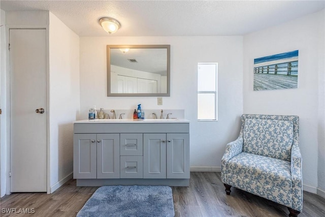 bathroom with vanity, wood-type flooring, and a textured ceiling