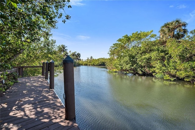 dock area featuring a water view