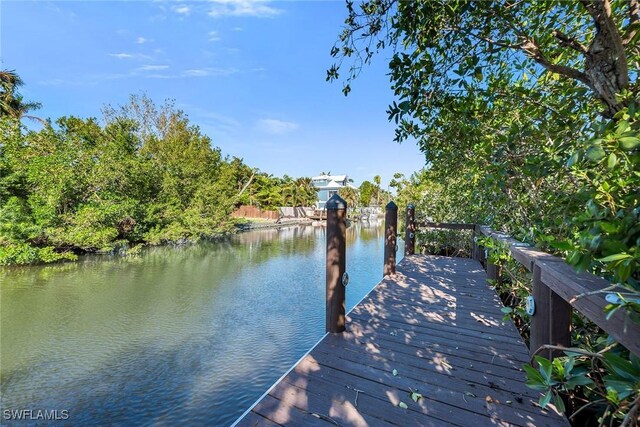 dock area with a water view