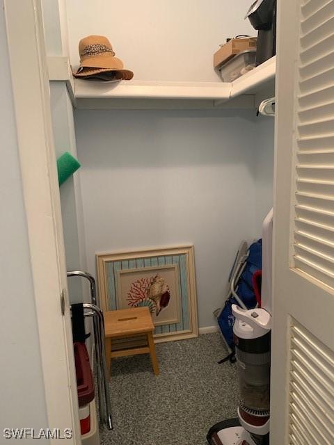 spacious closet with carpet flooring