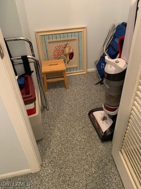 170 Turtle Lake Ct Unit 304, Naples, FL 34105 - corridor with carpet