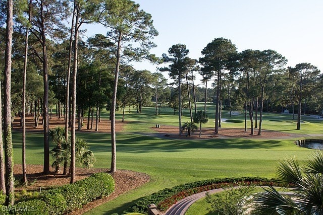 view of property's community featuring a lawn