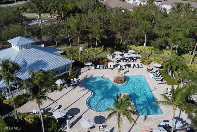 view of swimming pool featuring a patio area