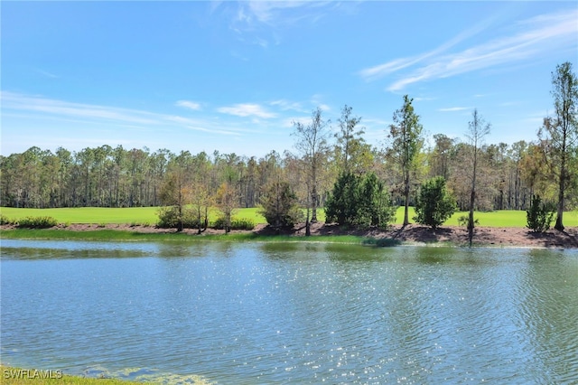 view of water feature