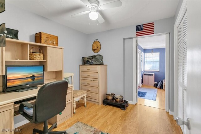 office with light hardwood / wood-style flooring and ceiling fan