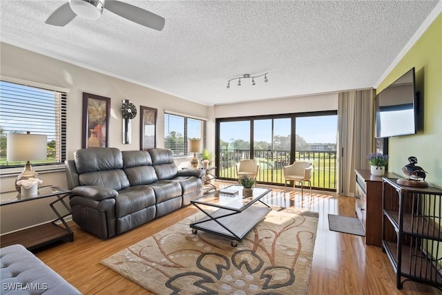 living room featuring a textured ceiling and light hardwood / wood-style flooring