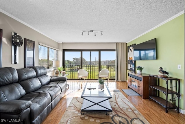 living room with a textured ceiling, light hardwood / wood-style floors, and crown molding