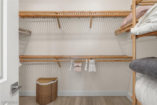 spacious closet featuring hardwood / wood-style flooring