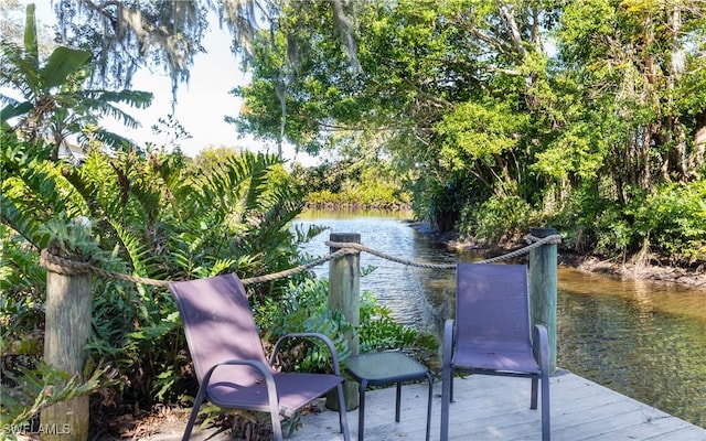 dock area with a water view