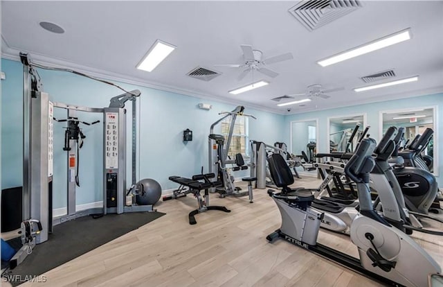 workout area with crown molding, ceiling fan, and light wood-type flooring