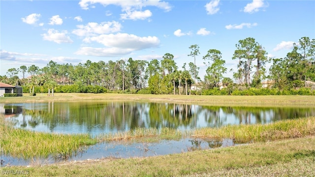 view of water feature