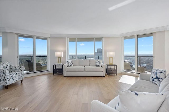 living room featuring floor to ceiling windows, light hardwood / wood-style floors, and a wealth of natural light