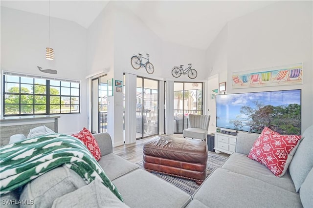 living room with a wealth of natural light, high vaulted ceiling, and light hardwood / wood-style floors