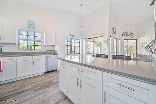 kitchen with dishwasher, white cabinets, a healthy amount of sunlight, and sink