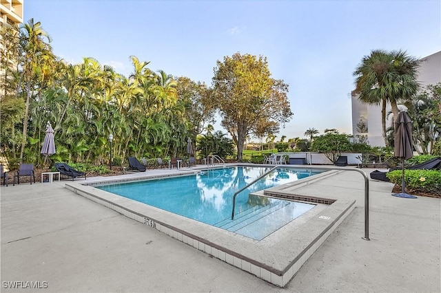 view of pool featuring a patio