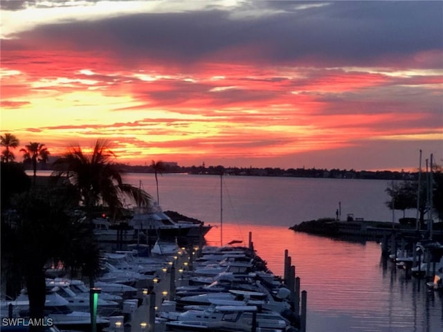 property view of water with a boat dock