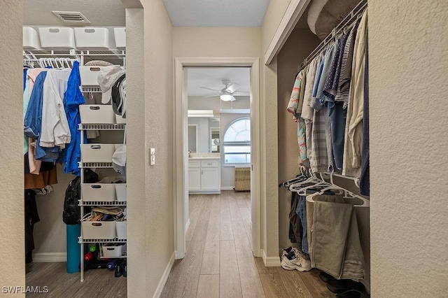 walk in closet featuring ceiling fan and wood-type flooring