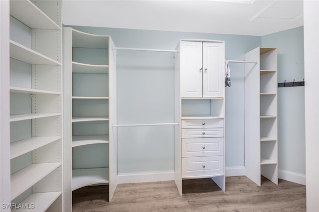 spacious closet featuring light wood-type flooring