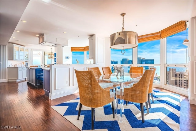 dining space with dark hardwood / wood-style flooring