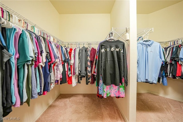 spacious closet featuring carpet floors