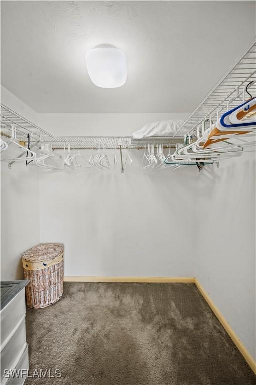 spacious closet featuring dark colored carpet