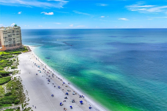 861 Collier Blvd S Unit S-206, Marco Island, FL 34145 - photo 32