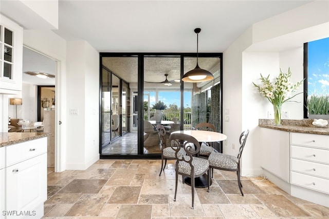 dining space featuring expansive windows and plenty of natural light