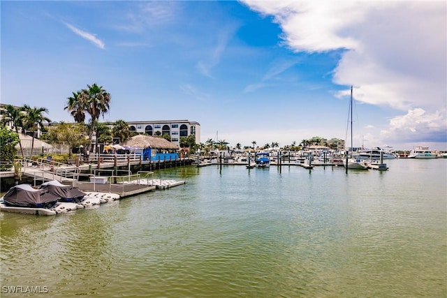 view of water feature with a dock