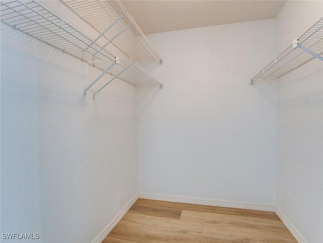 spacious closet with hardwood / wood-style flooring