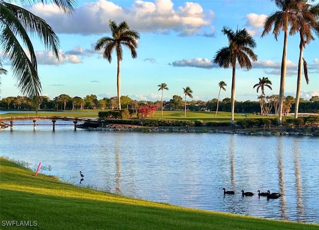 view of water feature