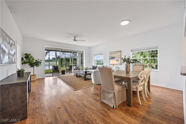 dining space featuring wood-type flooring and ceiling fan