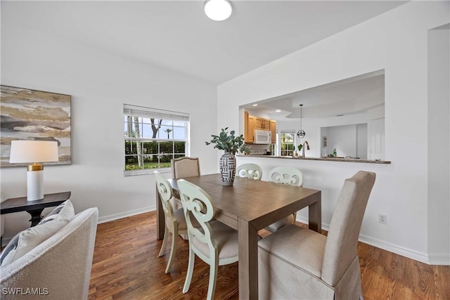 dining area featuring a wealth of natural light, hardwood / wood-style floors, and sink