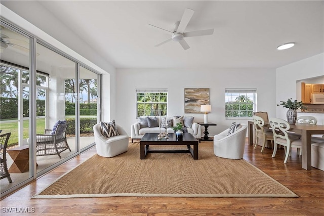 living room with wood-type flooring, ceiling fan, and a healthy amount of sunlight