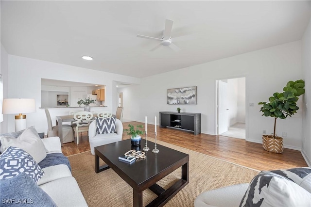 living room with ceiling fan and light hardwood / wood-style flooring