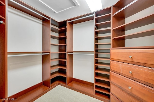 walk in closet with hardwood / wood-style flooring