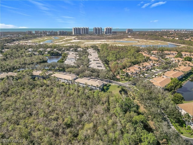 aerial view with a water view