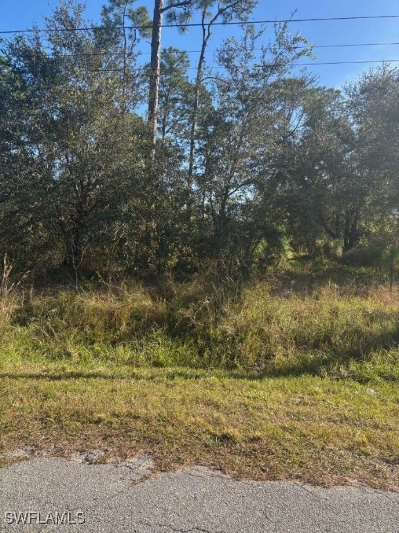 816 Clayton Ave, Lehigh Acres FL, 33972 land for sale