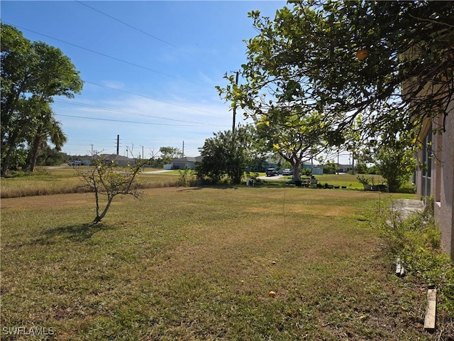 2419 NE 23rd Ave, Cape Coral, FL 33909 - view of green lawn